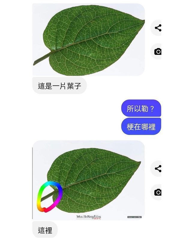 91