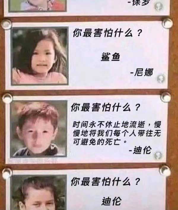 41