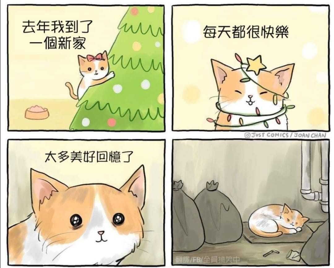 44