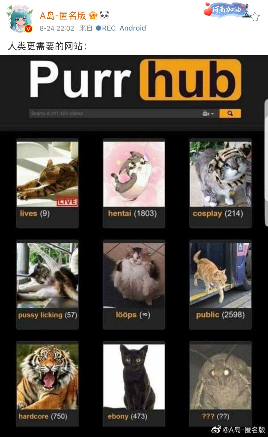 48