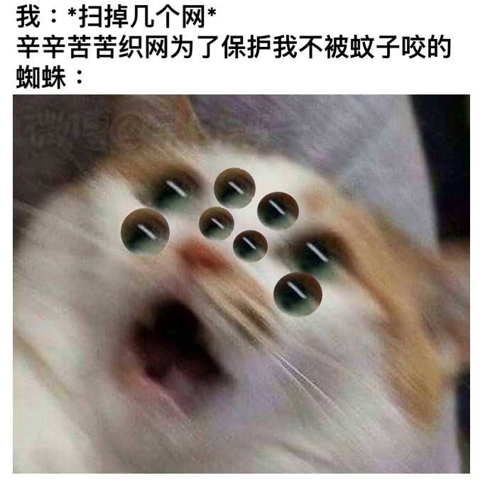 78