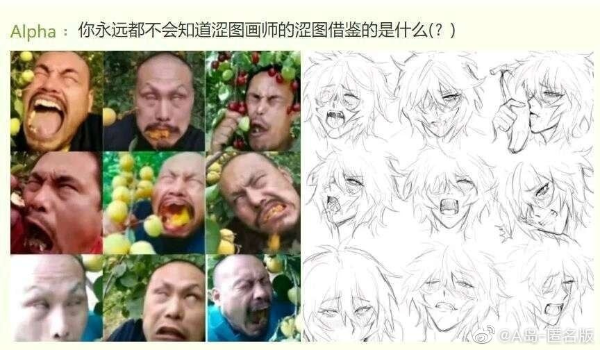 44