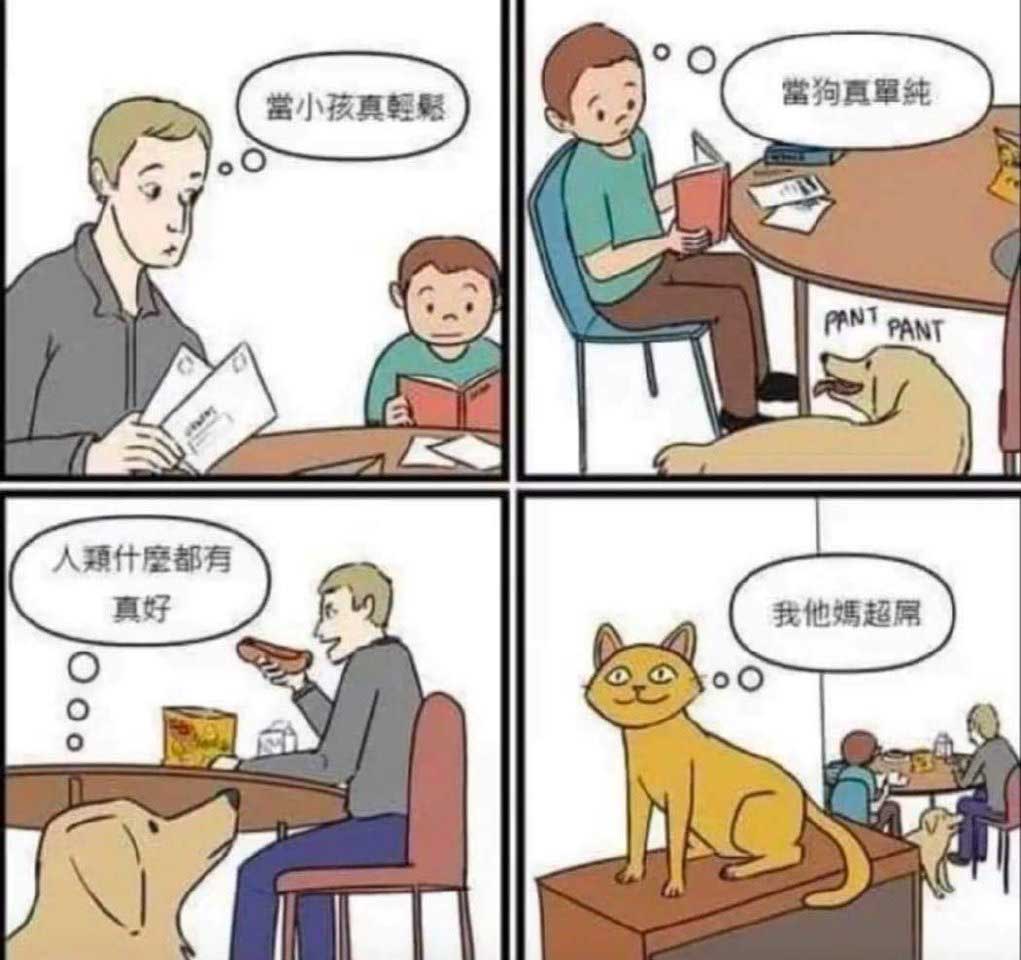 40
