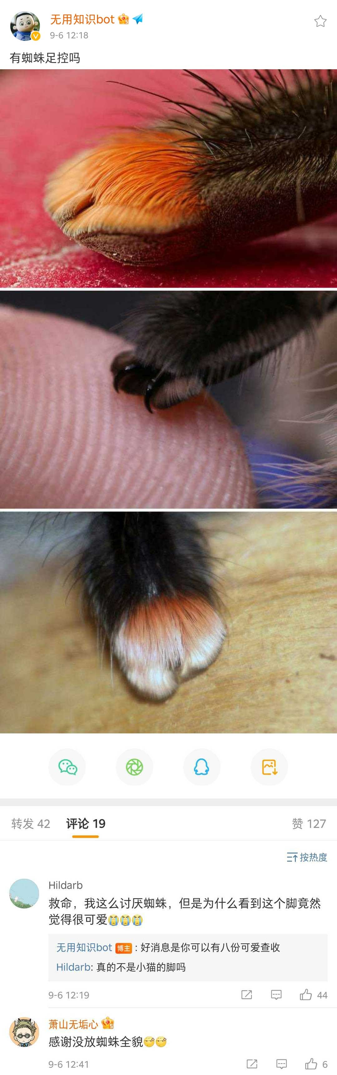 18