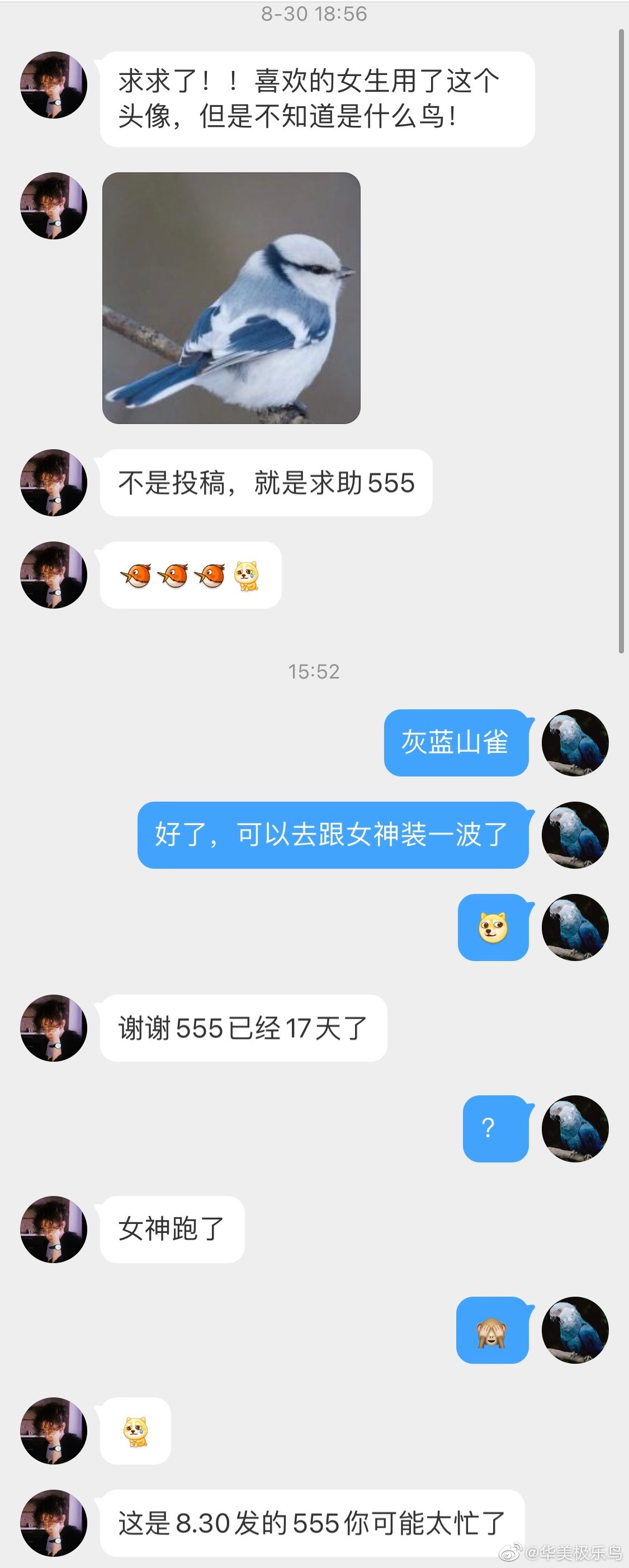 43