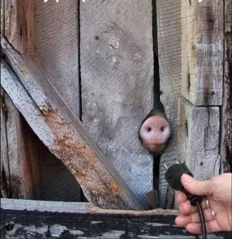 95