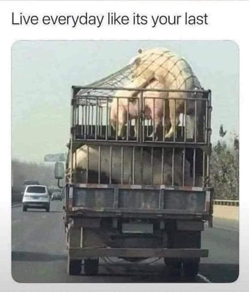 101