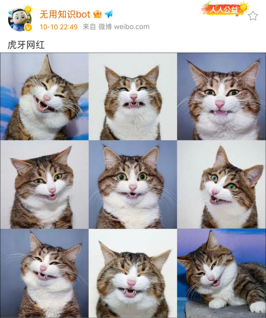 19