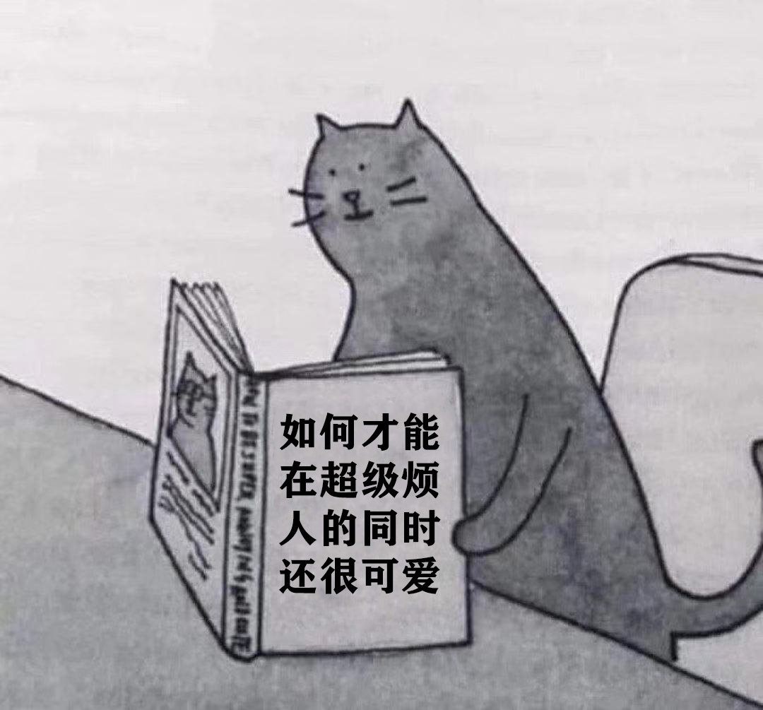 53