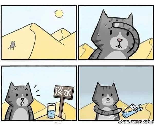 37