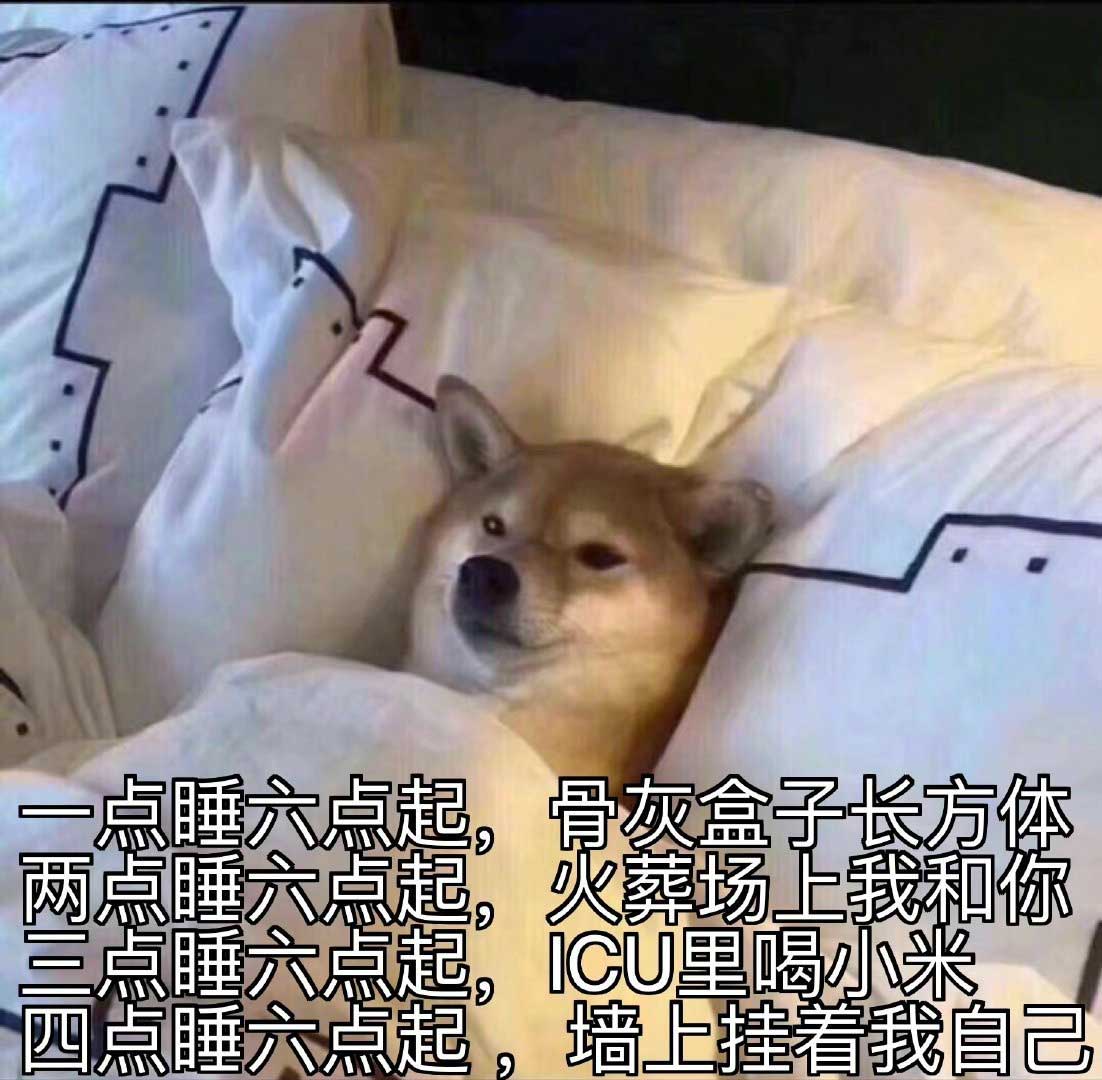 41