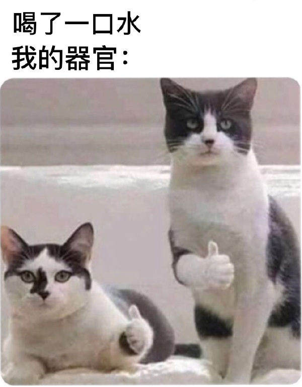 46