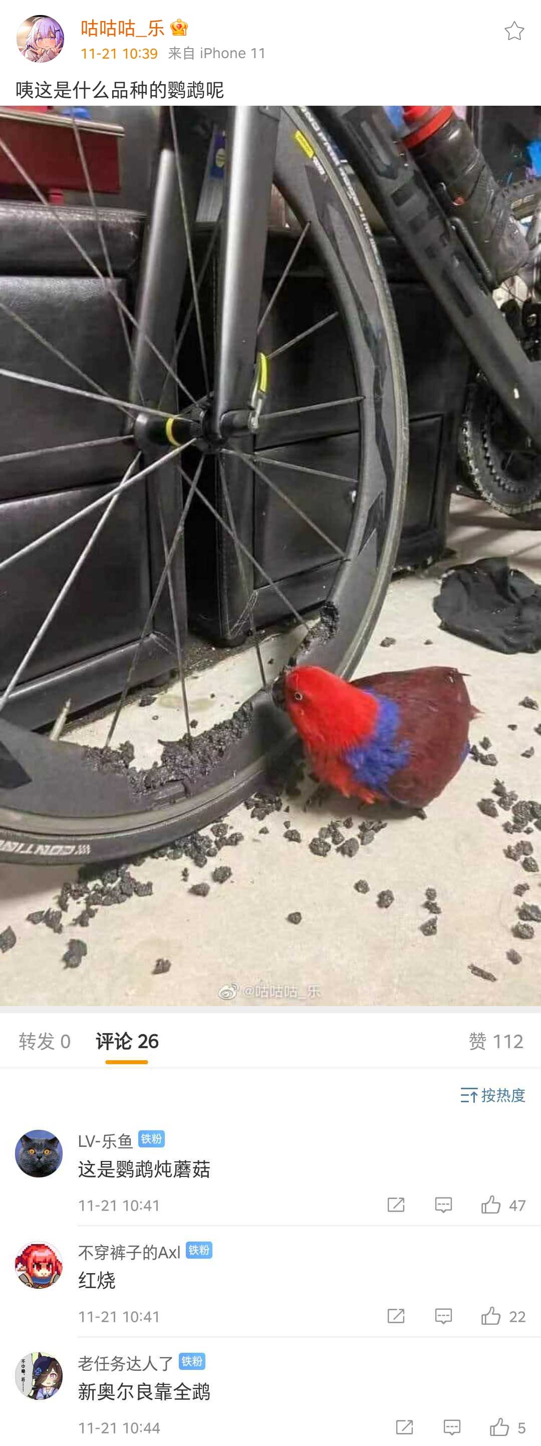 42