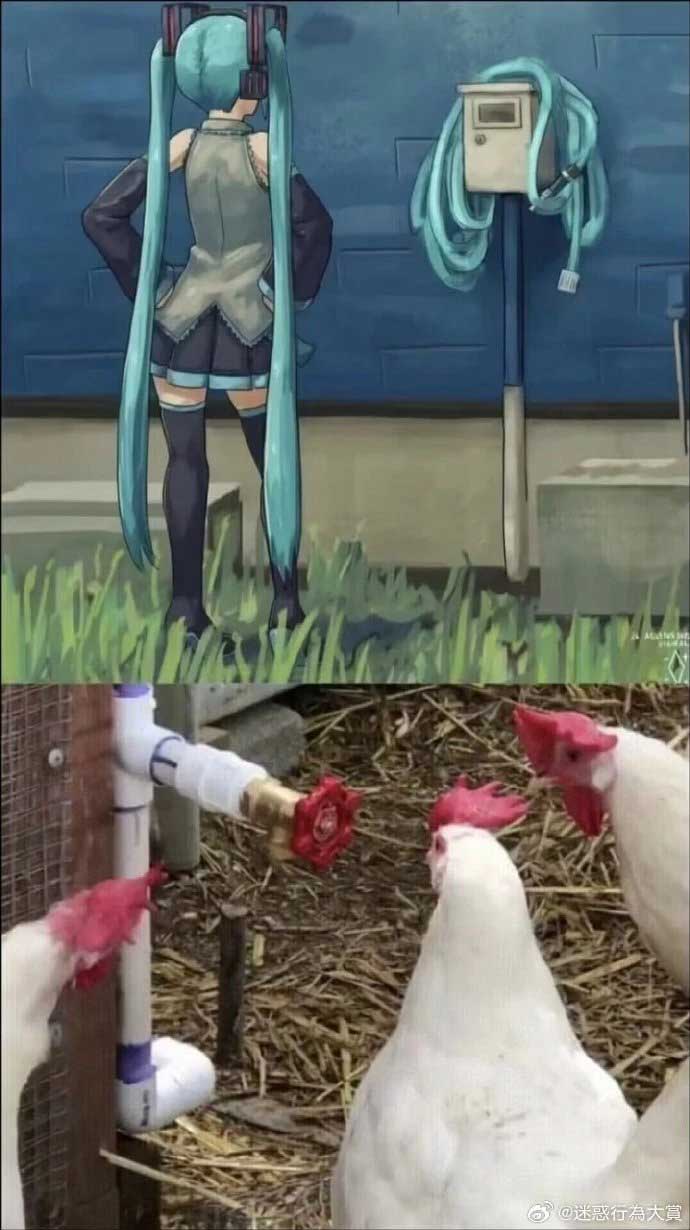 32