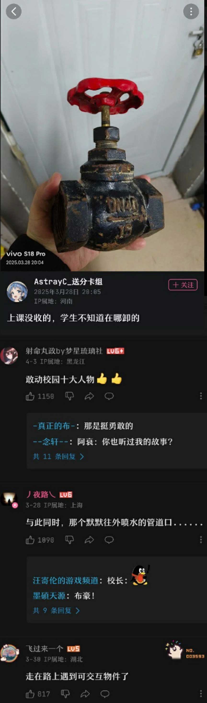 41
