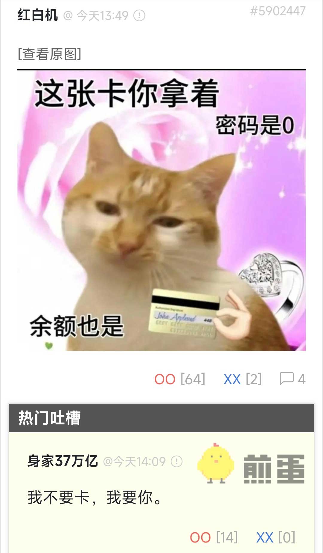 21