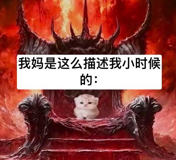 29