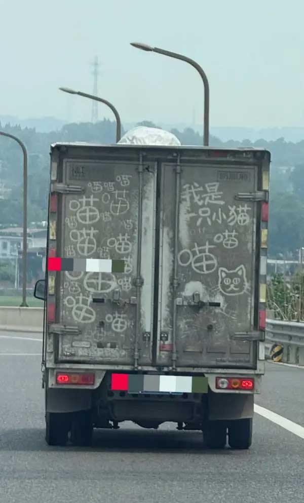 43