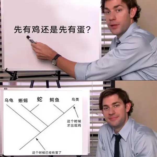 34