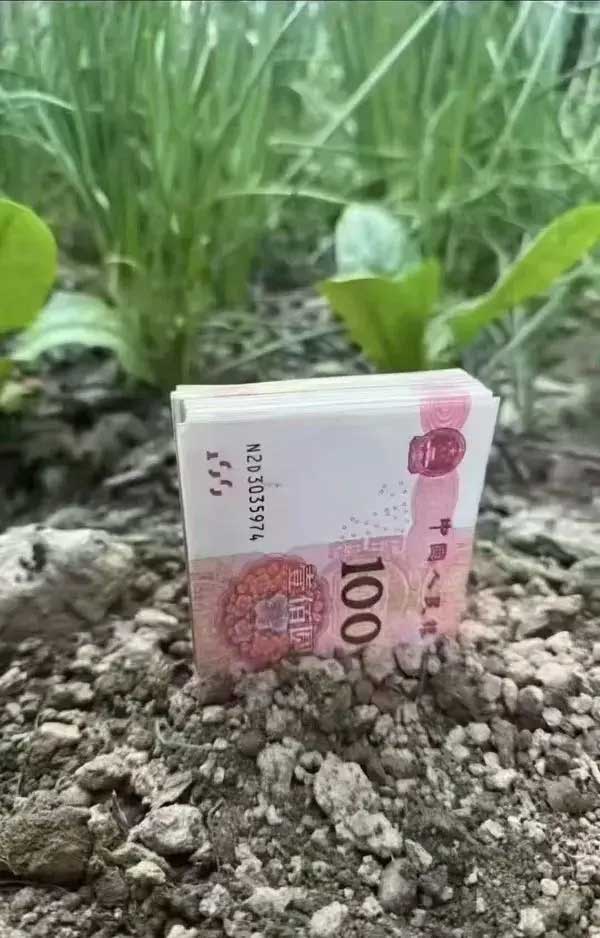 38