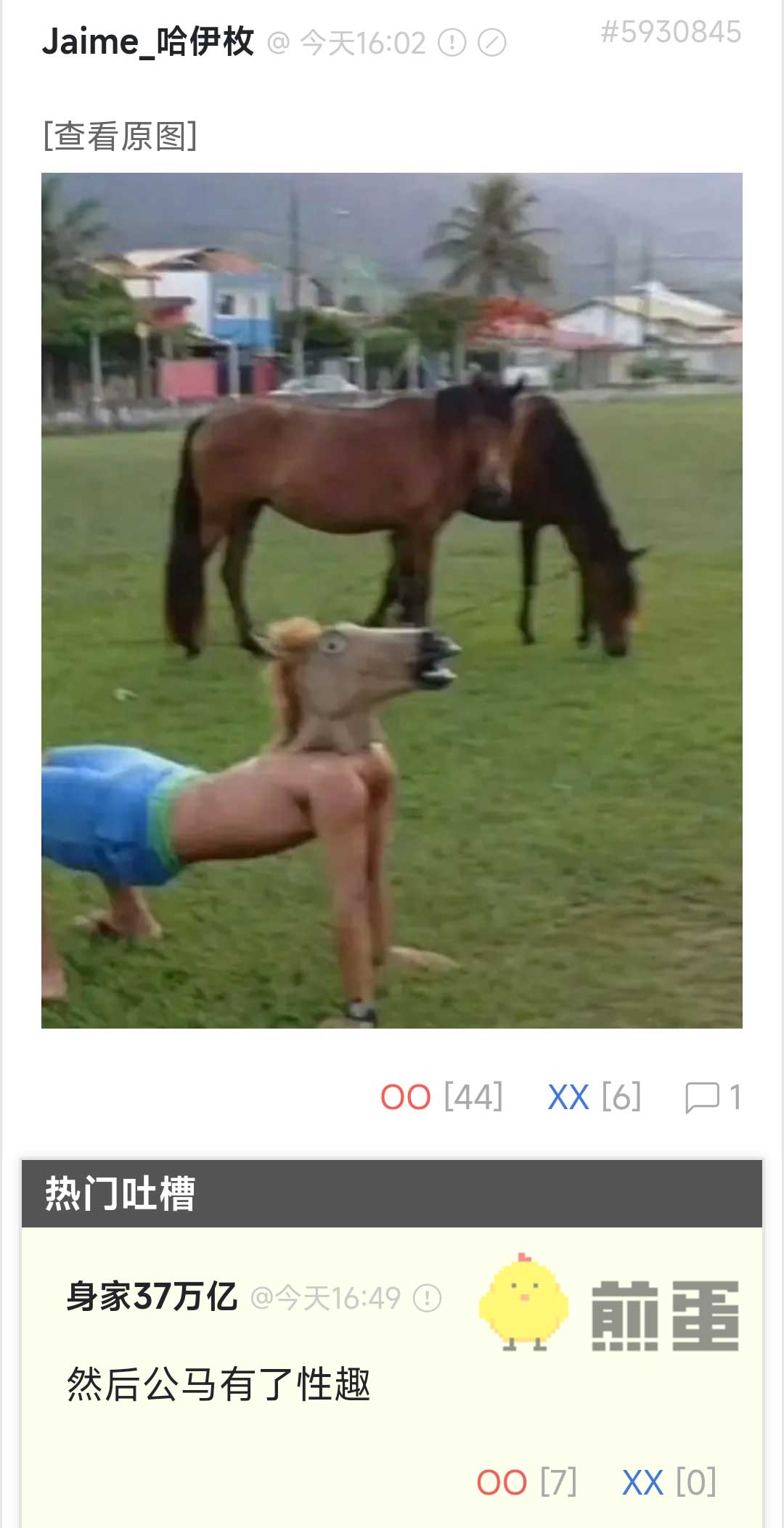 33