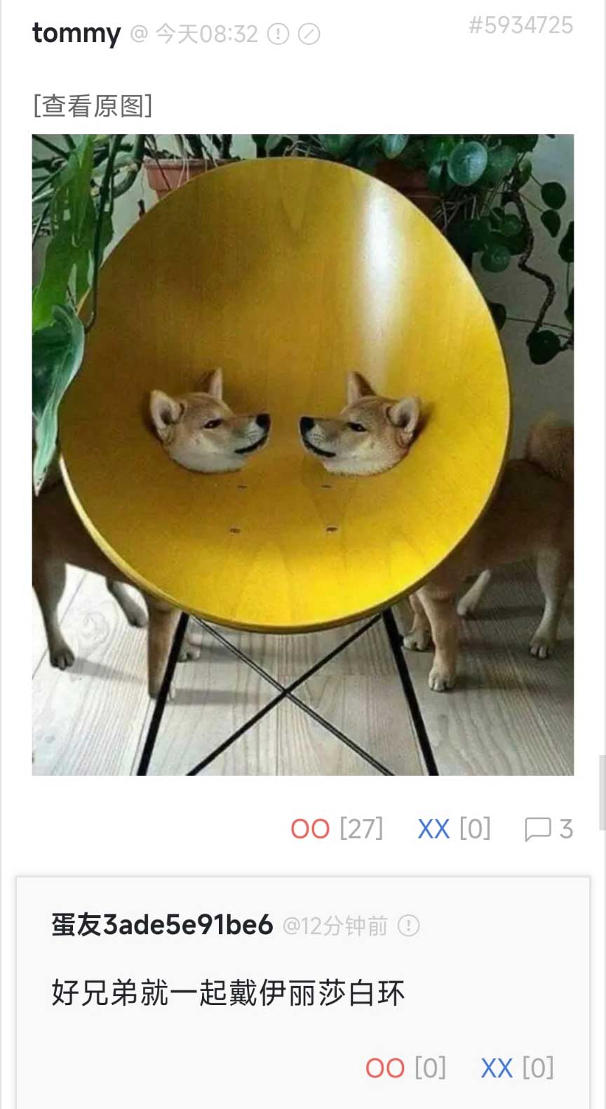 27