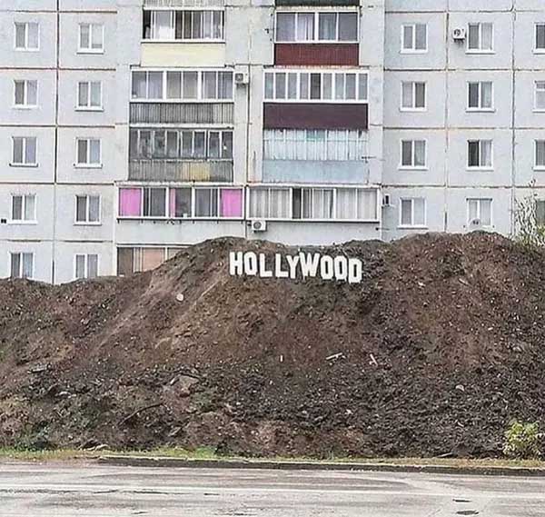 41