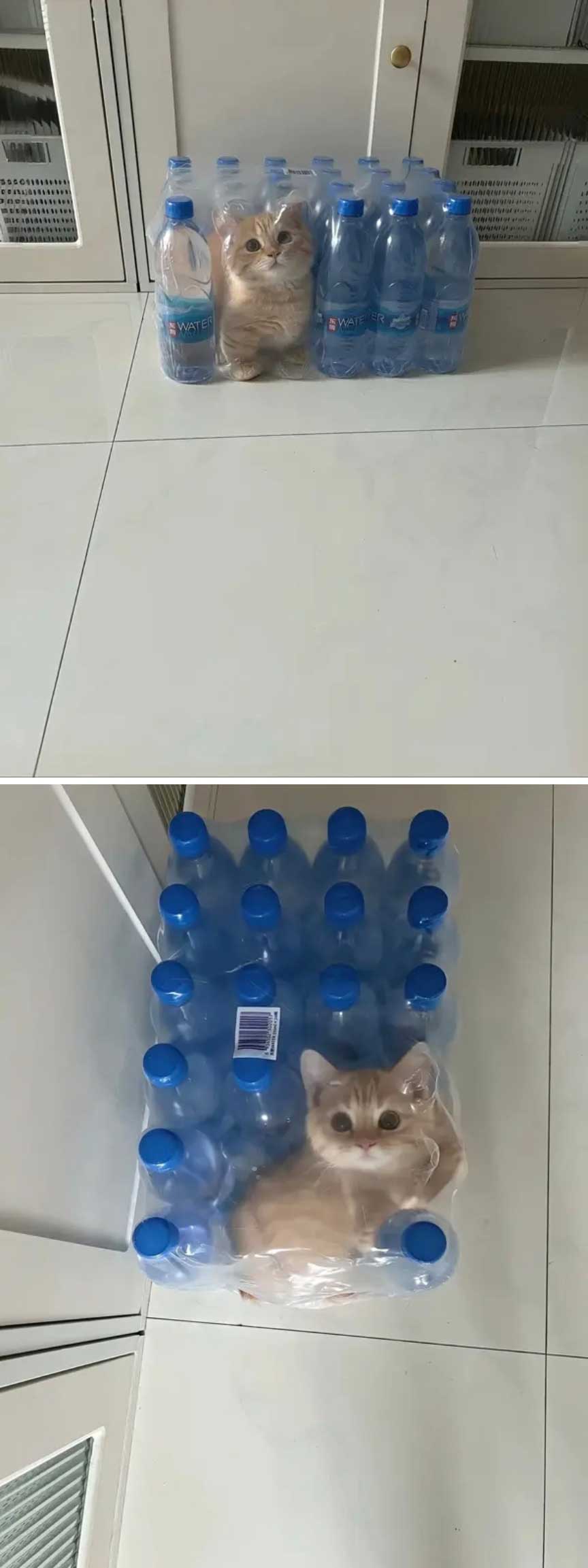43